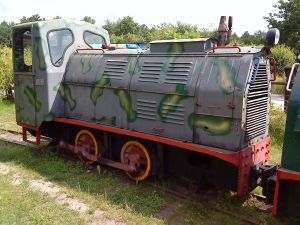 WLs40-377 2010.06.27 Pionki zdjęcie 2.JPG