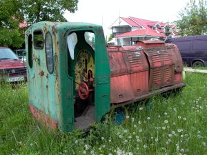 WLs40-286 2009.05.19 Trzeciewnica zdjęcie 3.JPG