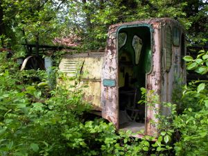 WLs40-773 2009.05.19 Trzeciewnica zdjęcie 2.JPG